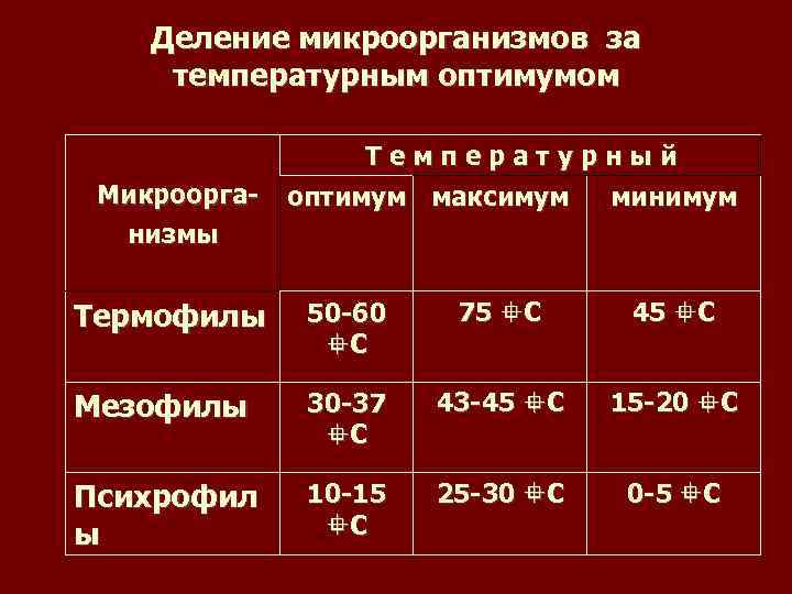 Оптимальная температура для микроорганизмов