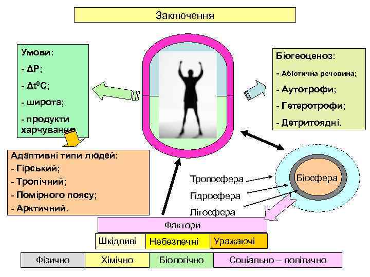      Заключення  Умови:    Біогеоценоз:  -