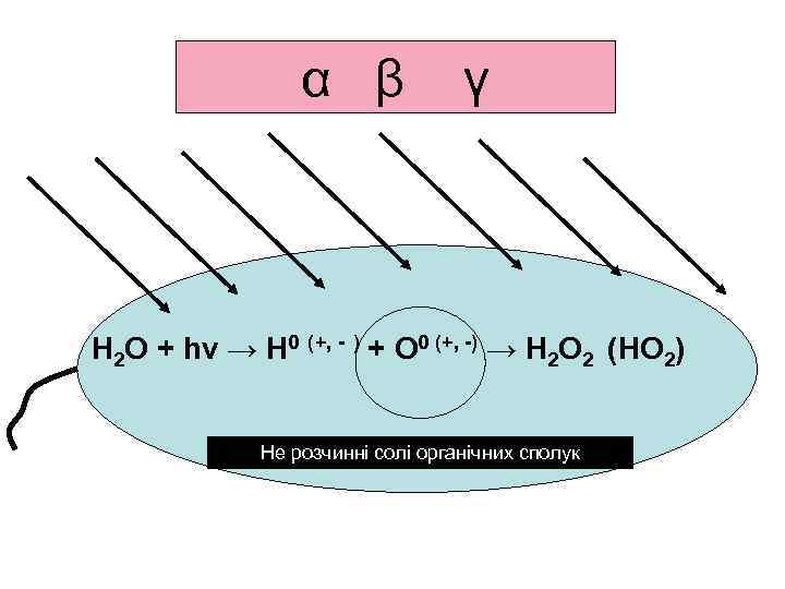    α β   γ Н 2 О + hν →