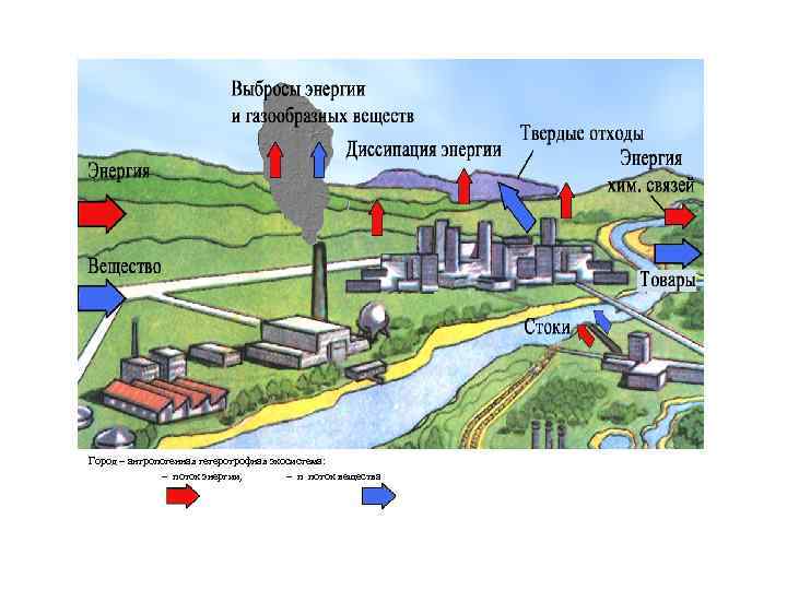 Город – антропогенная гетеротрофная экосистема:    – поток энергии,   –