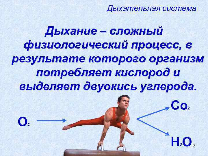    Дыхательная система  Дыхание – сложный  физиологический процесс, в результате