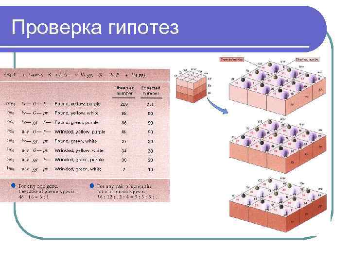Проверка гипотез 