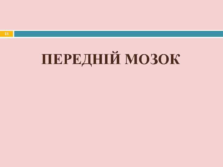 23   ПЕРЕДНІЙ МОЗОК 
