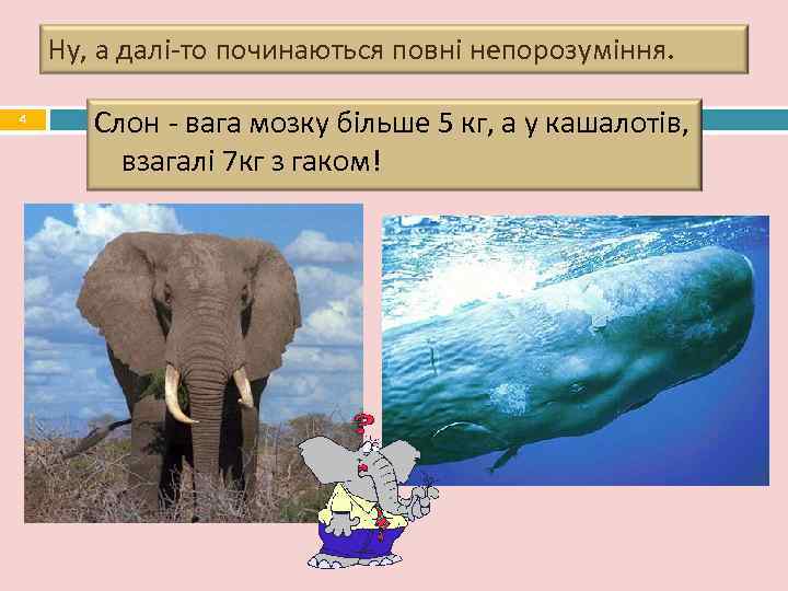   Ну, а далі-то починаються повні непорозуміння.  4  Слон - вага