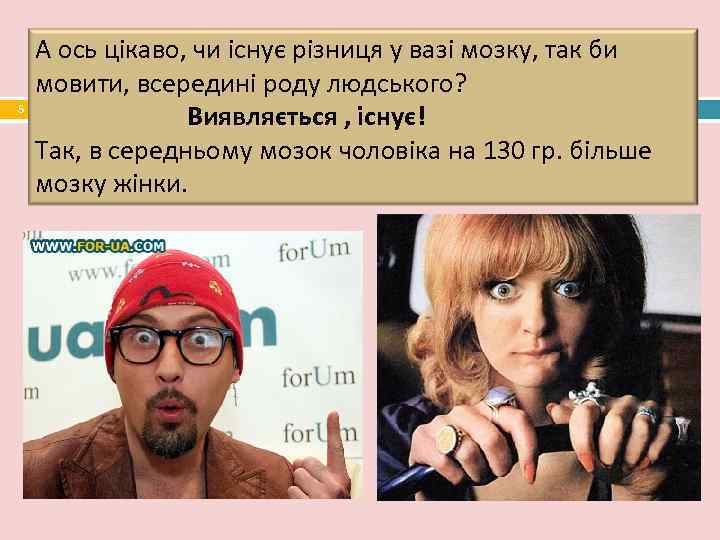   А ось цікаво, чи існує різниця у вазі мозку, так би мовити,