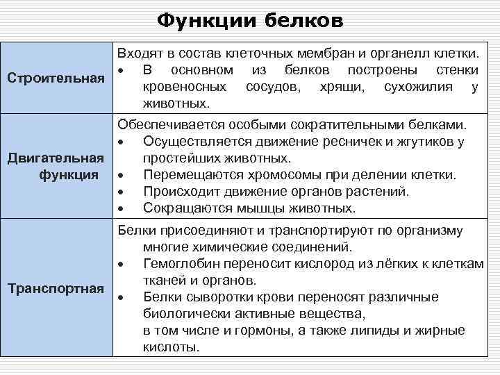 Клеточная функция белков. Белки роль и функции в клетке. Основные функции белков в клетке. Функции белков в клеткк. Функции белка в клетке.