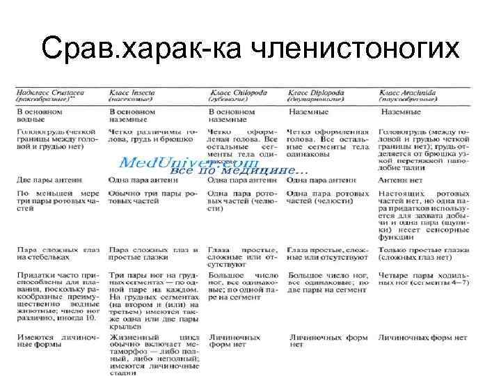 Срав. харак-ка членистоногих 