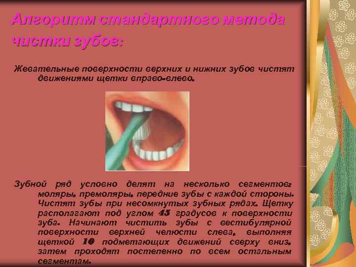 Алгоритм стандартного метода чистки зубов:  Жевательные поверхности верхних и нижних зубов чистят движениями