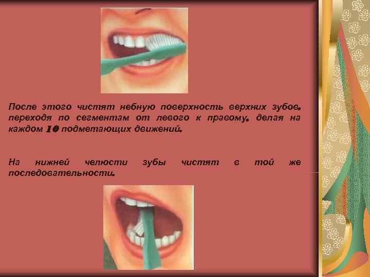 После этого чистят небную поверхность верхних зубов, переходя по сегментам от левого к правому,