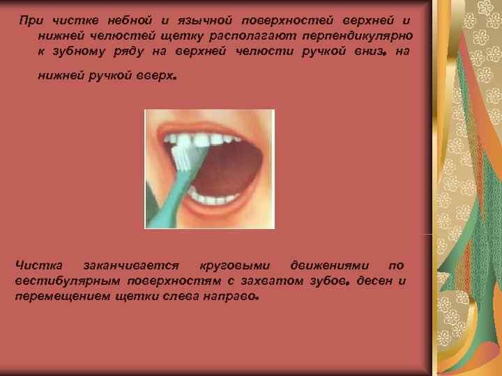 При чистке небной и язычной поверхностей верхней и  нижней челюстей щетку располагают перпендикулярно