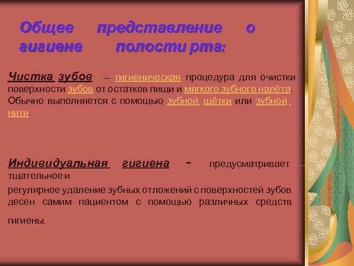  Общее представление      о  гигиене полости рта: Чистка