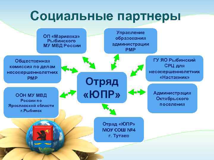    Социальные партнеры       Управление  