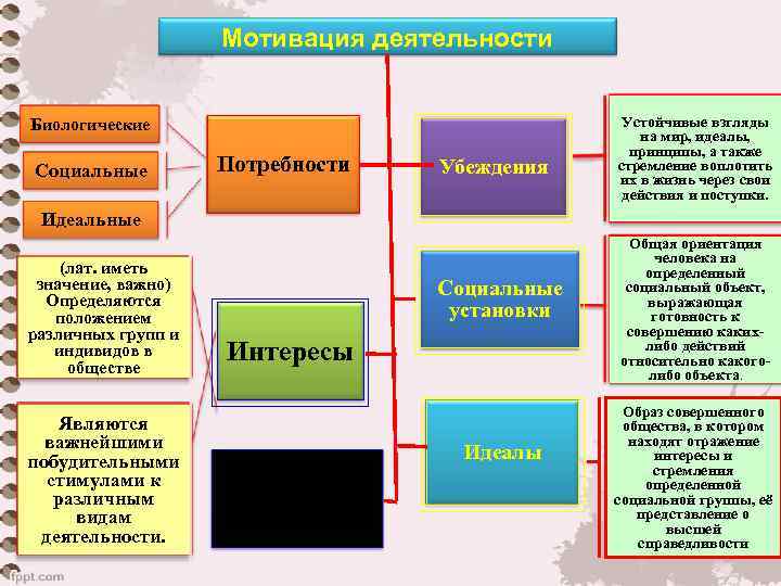     Мотивация деятельности  Биологические      