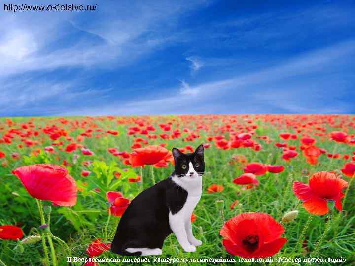 http: //www. o-detstve. ru/     II Всероссийский интернет-конкурс мультимедийных технологий «Мастер