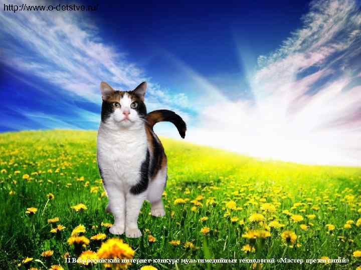 http: //www. o-detstve. ru/    II Всероссийский интернет-конкурс мультимедийных технологий «Мастер презентаций»