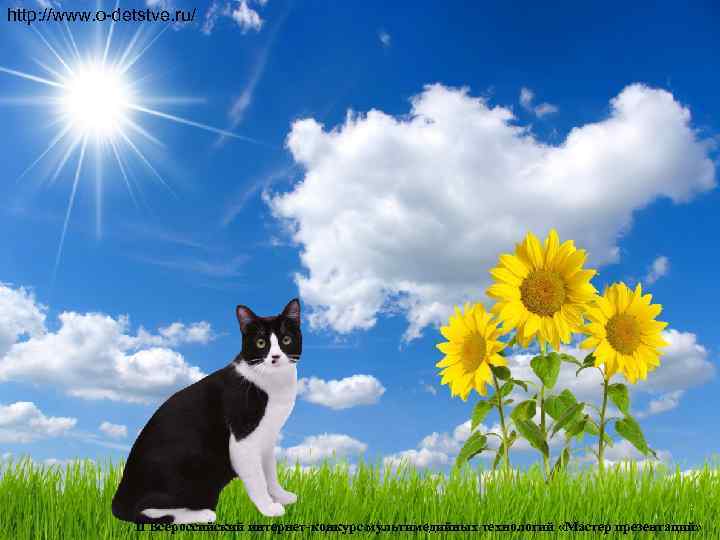 http: //www. o-detstve. ru/     II Всероссийский интернет-конкурс мультимедийных технологий «Мастер