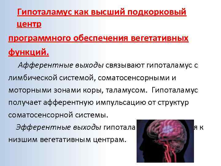  Гипоталамус как высший подкорковый  центр программного обеспечения вегетативных функций.  Афферентные выходы