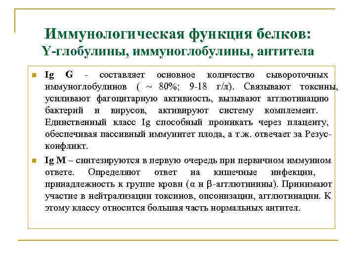   Иммунологическая функция белков: Y-глобулины, иммуноглобулины, антитела n  Ig G - составляет