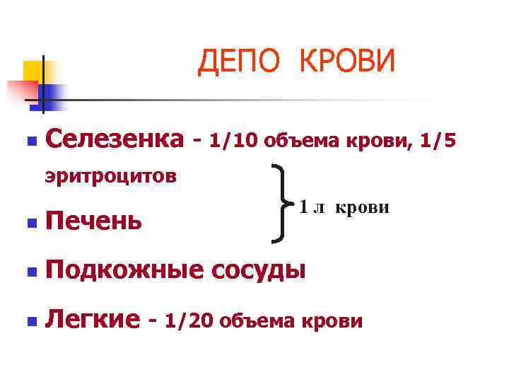    ДЕПО КРОВИ n  Селезенка - 1/10 объема крови, 1/5 эритроцитов