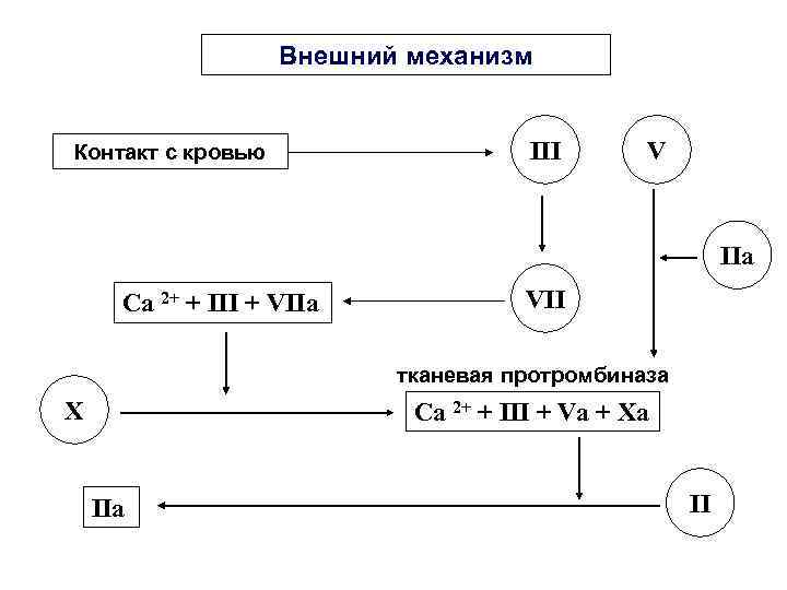Внешний механизм Контакт с кровью Внешний механизм Контакт с кровью