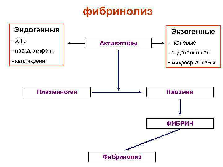фибринолиз Эндогенные Экзогенные - XIIIa фибринолиз Эндогенные Экзогенные - XIIIa
