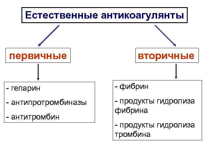 Естественные антикоагулянты первичные вторичные - гепарин Естественные антикоагулянты первичные вторичные - гепарин