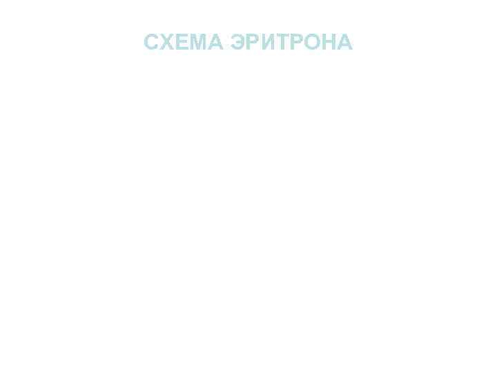 СХЕМА ЭРИТРОНА СХЕМА ЭРИТРОНА