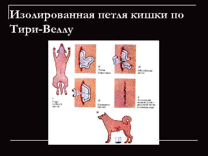 Изолированная петля кишки по Тири-Веллу 