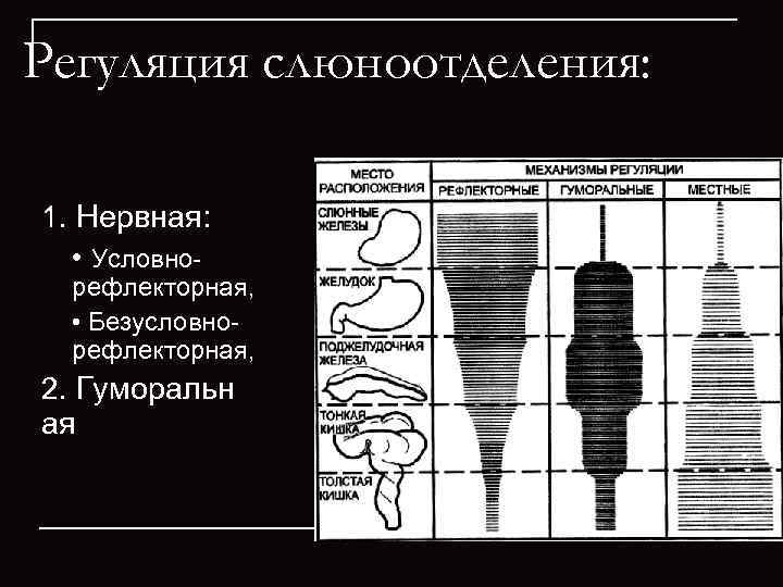 Регуляция слюноотделения:  1. Нервная: • Условно  рефлекторная, • Безусловно  рефлекторная, 2.