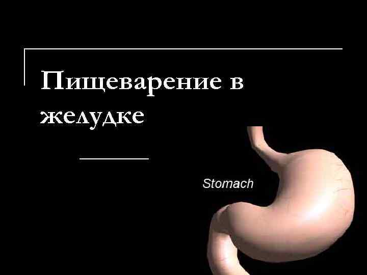 Пищеварение в желудке 