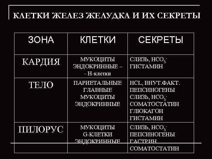 КЛЕТКИ ЖЕЛЕЗ ЖЕЛУДКА И ИХ СЕКРЕТЫ  ЗОНА КЛЕТКИ  СЕКРЕТЫ   МУКОЦИТЫ