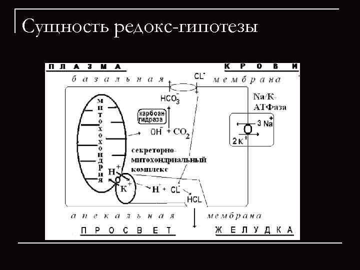Сущность редокс-гипотезы 