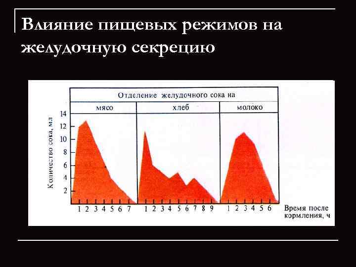 Влияние пищевых режимов на желудочную секрецию 