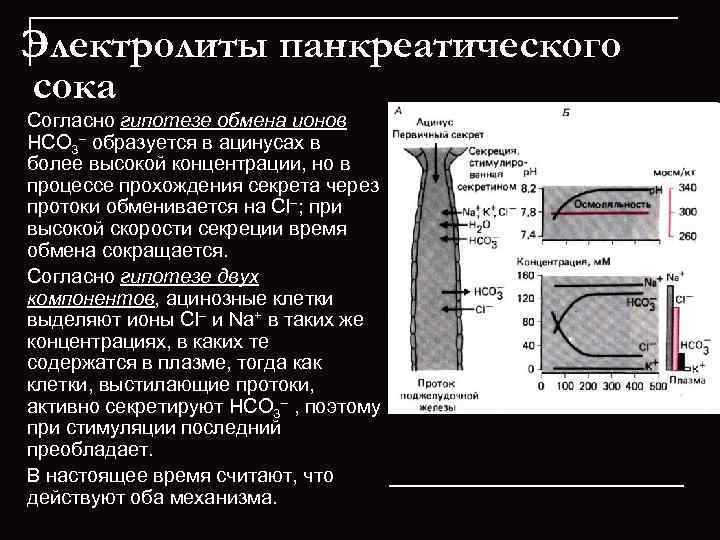 Электролиты панкреатического сока Согласно гипотезе обмена ионов НСО 3– образуется в ацинусах в более