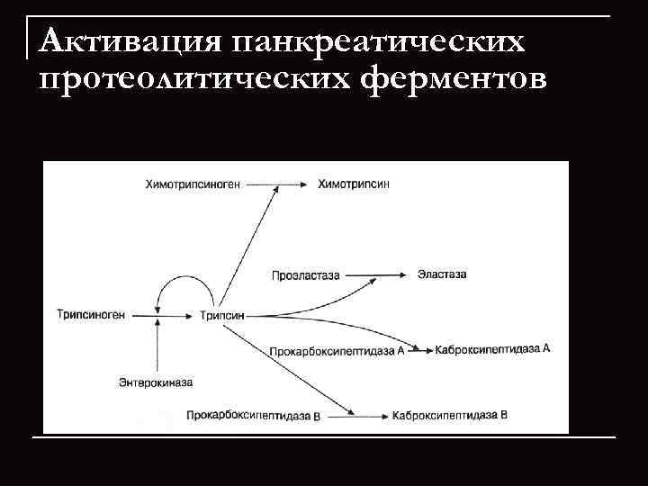 Активация панкреатических протеолитических ферментов 