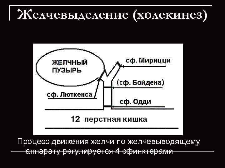 Желчевыделение (холекинез) Процесс движения желчи по желчевыводящему  аппарату регулируется 4 сфинктерами 