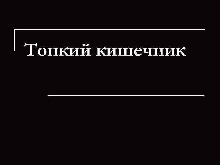 Тонкий кишечник 