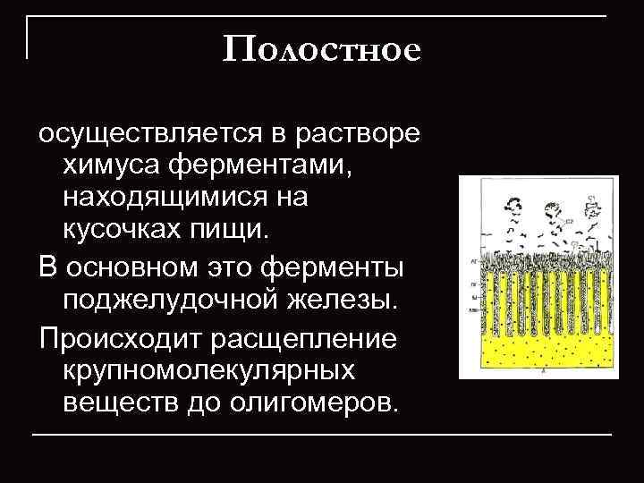   Полостное осуществляется в растворе  химуса ферментами, находящимися на  кусочках пищи.