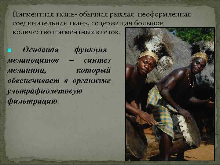 Пигментная ткань- обычная рыхлая неоформленная соединительная ткань, содержащая большое количество пигментных клеток. Пигментная ткань- обычная рыхлая неоформленная соединительная ткань, содержащая большое количество пигментных клеток.