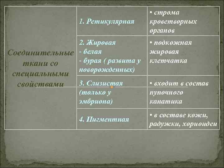 • строма 1. Ретикулярная • строма 1. Ретикулярная