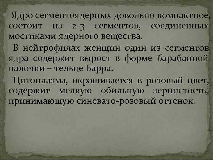 Ядро сегментоядерных довольно компактное, состоит из 2 -3 сегментов, соединенных мостиками ядерного Ядро сегментоядерных довольно компактное, состоит из 2 -3 сегментов, соединенных мостиками ядерного