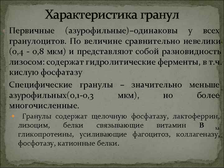 Характеристика гранул Первичные (азурофильные)–одинаковы у всех гранулоцитов. По величине сравнительно Характеристика гранул Первичные (азурофильные)–одинаковы у всех гранулоцитов. По величине сравнительно