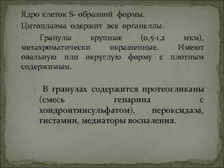 Ядро клеток S- образной формы. Цитоплазма одержит все органеллы. Гранулы Ядро клеток S- образной формы. Цитоплазма одержит все органеллы. Гранулы