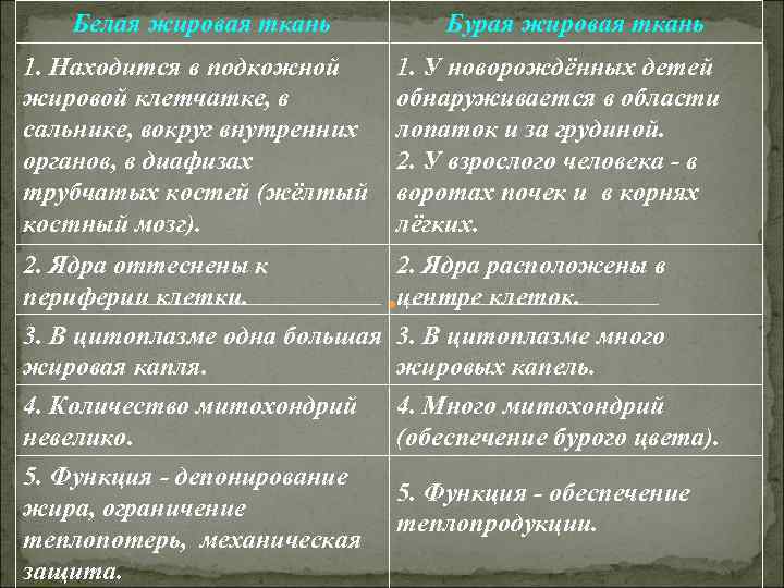 Белая жировая ткань Бурая жировая ткань 1. Находится в подкожной Белая жировая ткань Бурая жировая ткань 1. Находится в подкожной