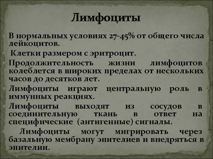 Лимфоциты В нормальных условиях 27 -45% от общего числа Лимфоциты В нормальных условиях 27 -45% от общего числа