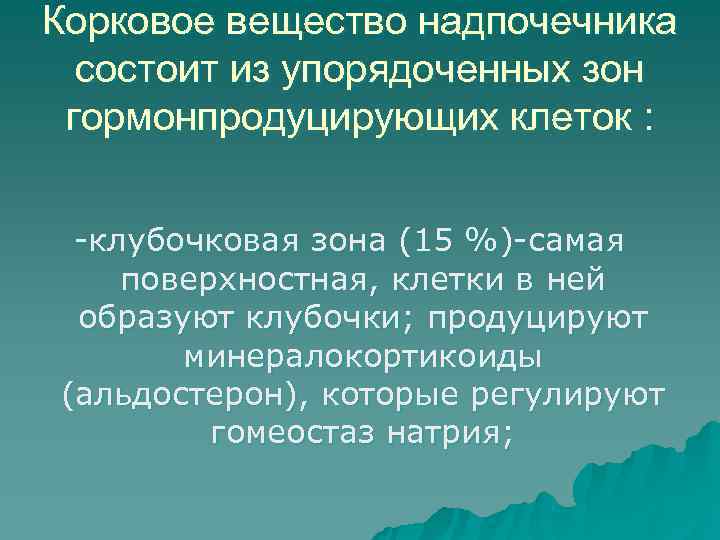 Корковое вещество надпочечника  состоит из упорядоченных зон гормонпродуцирующих клеток : -клубочковая зона (15