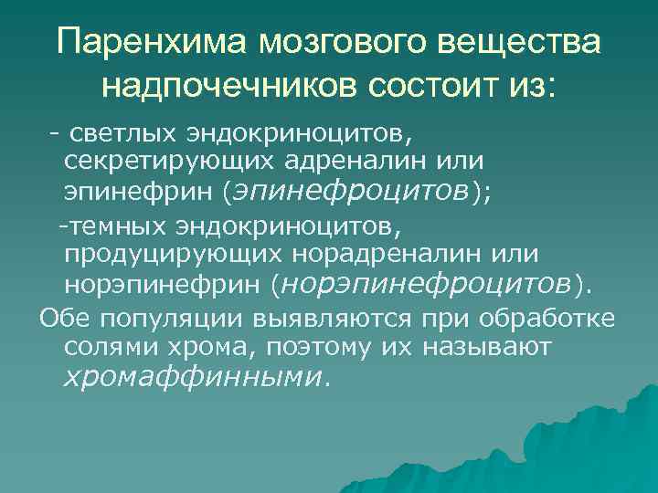  Паренхима мозгового вещества  надпочечников состоит из: - светлых эндокриноцитов,  секретирующих адреналин