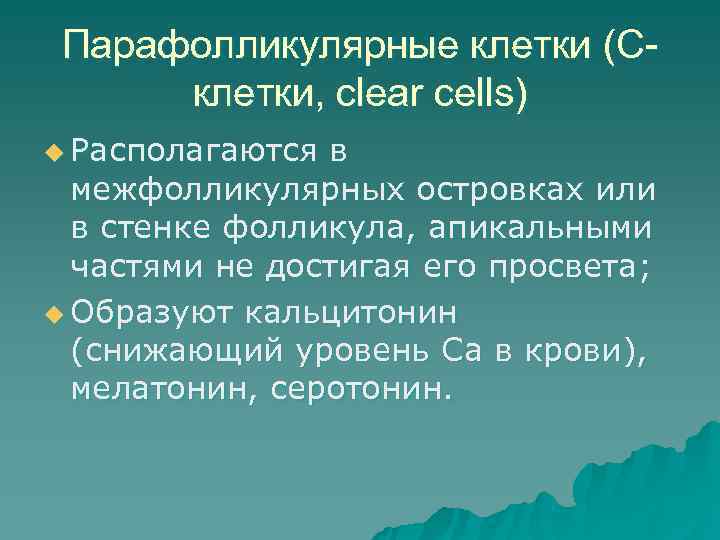  Парафолликулярные клетки (С-  клетки, clear cells) u Располагаются в  межфолликулярных островках