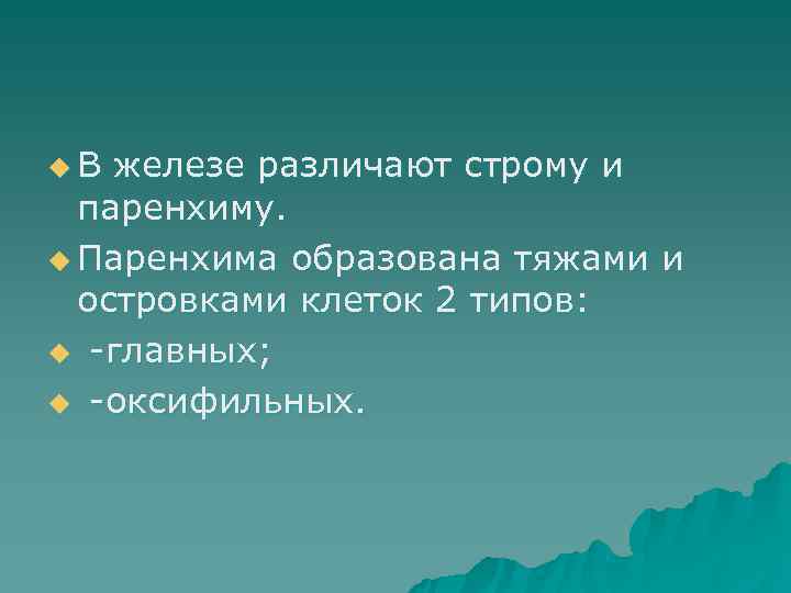 u. В железе различают строму и  паренхиму. u Паренхима образована тяжами и 