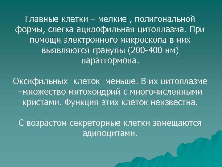 Главные клетки – мелкие , полигональной формы, слегка ацидофильная цитоплазма. При  помощи